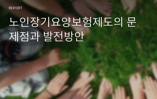 노인장기요양보험제도의 문제점과 발전방안