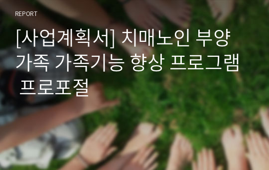 [사업계획서] 치매노인 부양가족 가족기능 향상 프로그램 프로포절