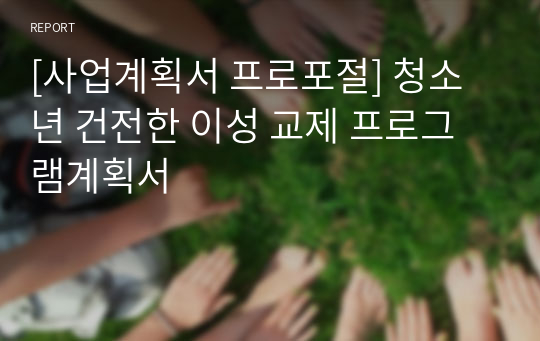 [사업계획서 프로포절] 청소년 건전한 이성 교제 프로그램계획서