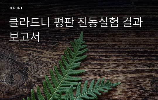 클라드니 평판 진동실험 결과보고서