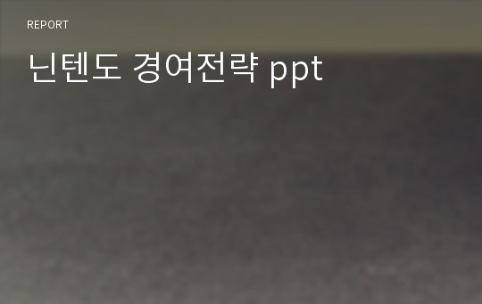 닌텐도 경여전략 ppt