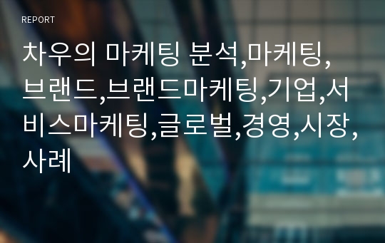 차우의 마케팅 분석,마케팅,브랜드,브랜드마케팅,기업,서비스마케팅,글로벌,경영,시장,사례