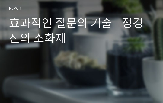 효과적인 질문의 기술 - 정경진의 소화제