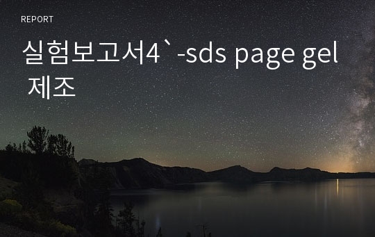 실험보고서4`-sds page gel 제조