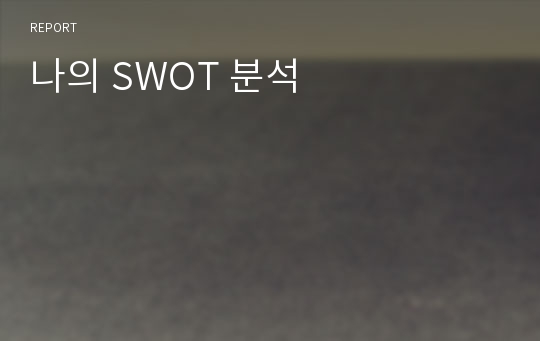 나의 SWOT 분석