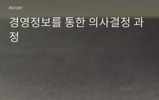 경영정보를 통한 의사결정 과정