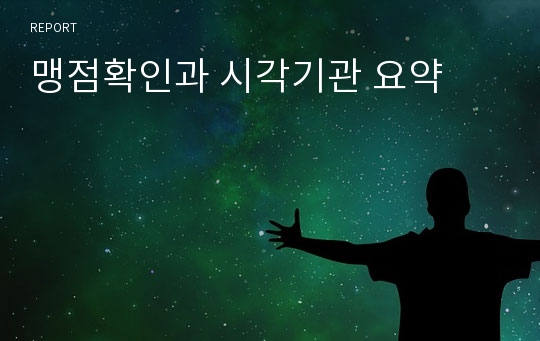 맹점확인과 시각기관 요약