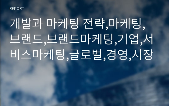 개발과 마케팅 전략,마케팅,브랜드,브랜드마케팅,기업,서비스마케팅,글로벌,경영,시장