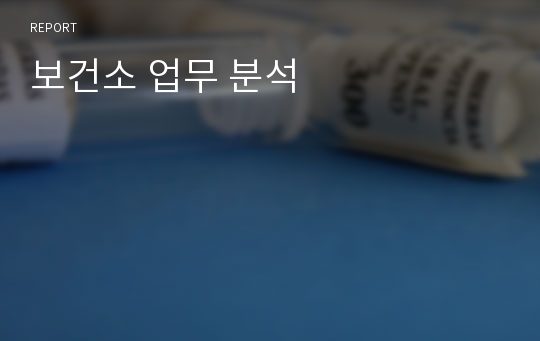 보건소 업무 분석