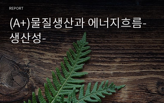 (A+)물질생산과 에너지흐름-생산성-