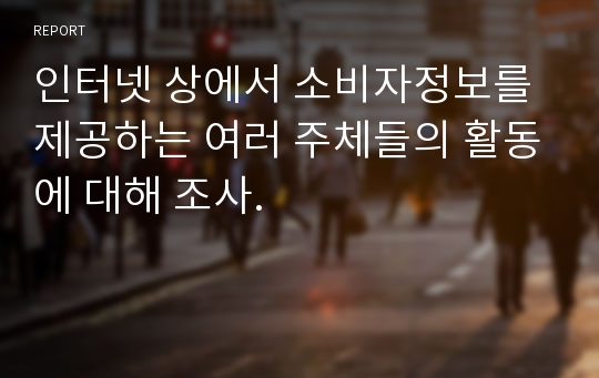 인터넷 상에서 소비자정보를 제공하는 여러 주체들의 활동에 대해 조사.