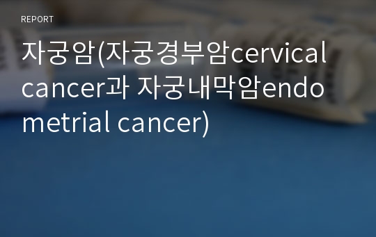 자궁암(자궁경부암cervical cancer과 자궁내막암endometrial cancer)