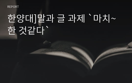 한양대]말과 글 과제 `마치~한 것같다`