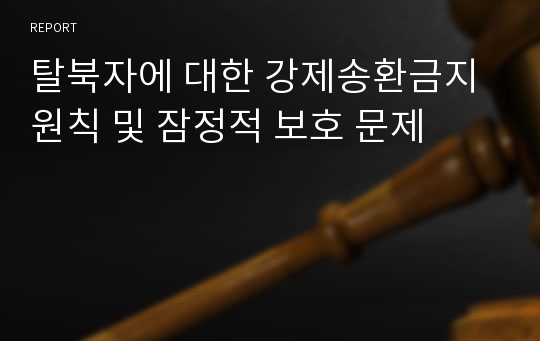 탈북자에 대한 강제송환금지 원칙 및 잠정적 보호 문제