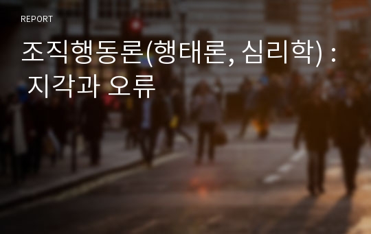 조직행동론(행태론, 심리학) : 지각과 오류