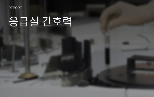 응급실 간호력