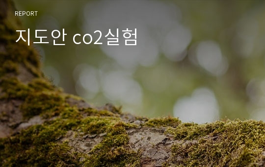 지도안 co2실험