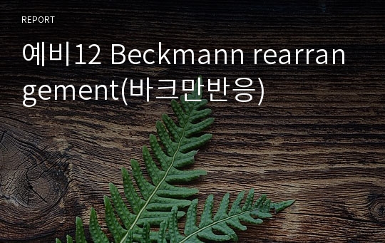 예비12 Beckmann rearrangement(바크만반응)