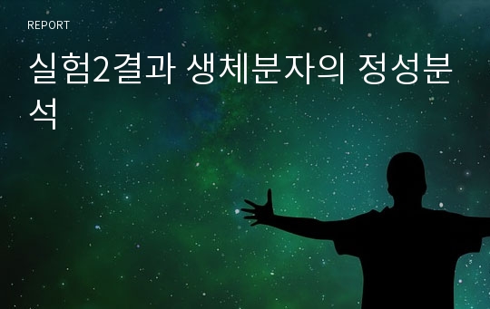 실험2결과 생체분자의 정성분석