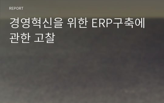 경영혁신을 위한 ERP구축에 관한 고찰