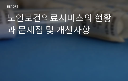 노인보건의료서비스의 현황과 문제점 및 개선사항