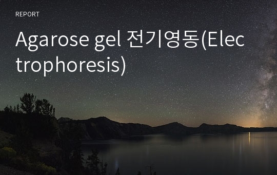 Agarose gel 전기영동(Electrophoresis)