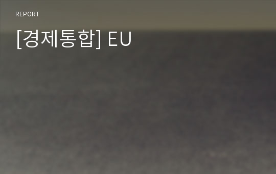 [경제통합] EU