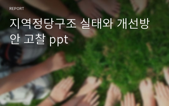 지역정당구조 실태와 개선방안 고찰 ppt