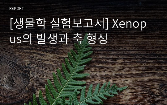 [생물학 실험보고서] Xenopus의 발생과 축 형성