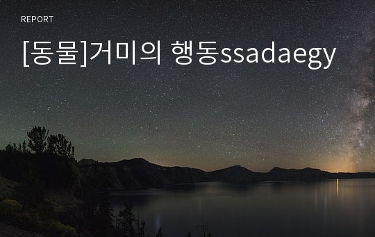 [동물]거미의 행동ssadaegy