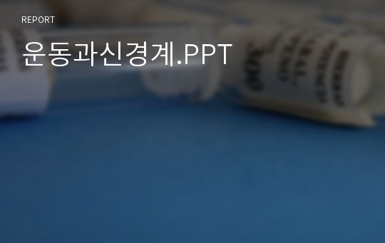 운동과신경계.PPT