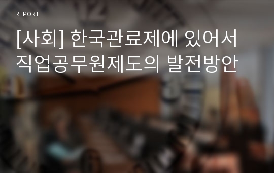 [사회] 한국관료제에 있어서 직업공무원제도의 발전방안