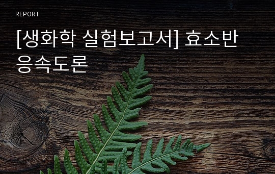 [생화학 실험보고서] 효소반응속도론