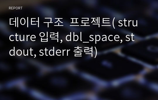 데이터 구조  프로젝트( structure 입력, dbl_space, stdout, stderr 출력)