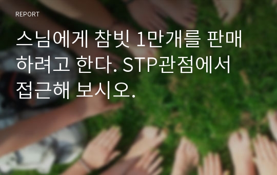 스님에게 참빗 1만개를 판매하려고 한다. STP관점에서 접근해 보시오.