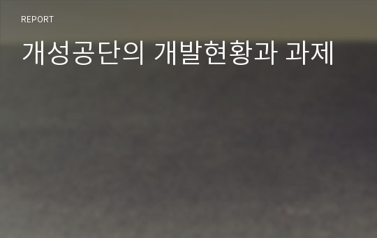 개성공단의 개발현황과 과제