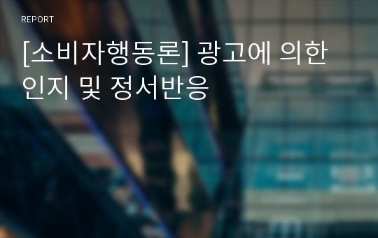 [소비자행동론] 광고에 의한 인지 및 정서반응