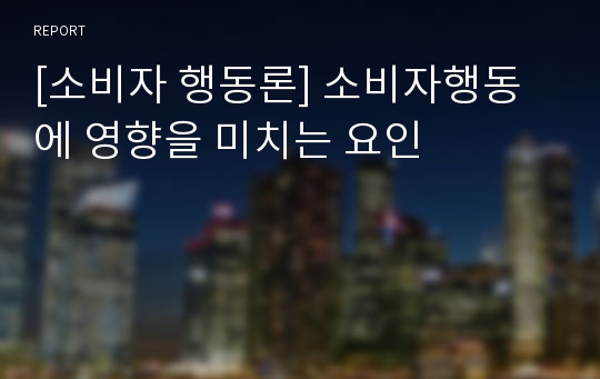 [소비자 행동론] 소비자행동에 영향을 미치는 요인