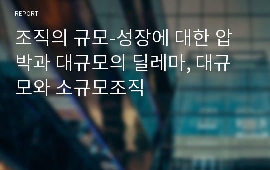 조직의 규모-성장에 대한 압박과 대규모의 딜레마, 대규모와 소규모조직