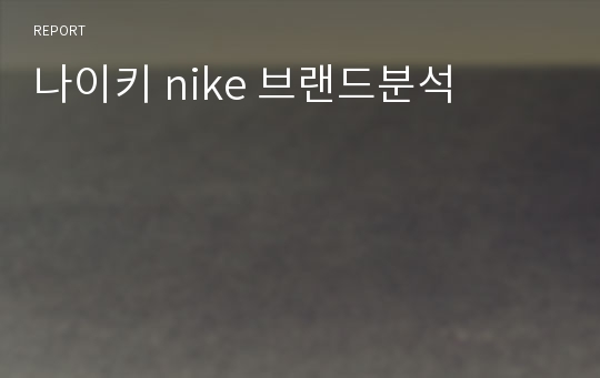 나이키 nike 브랜드분석