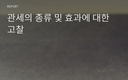 관세의 종류 및 효과에 대한 고찰