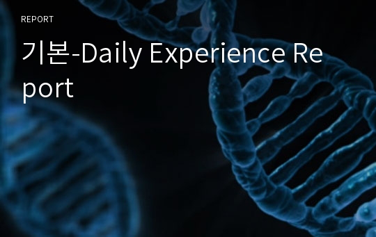 기본-Daily Experience Report