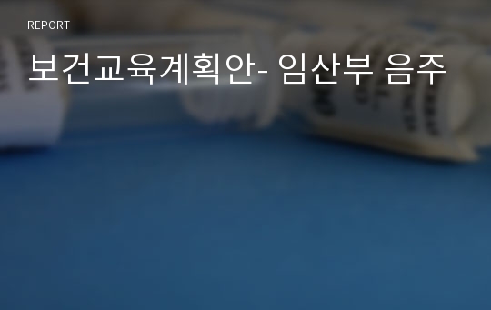 보건교육계획안- 임산부 음주