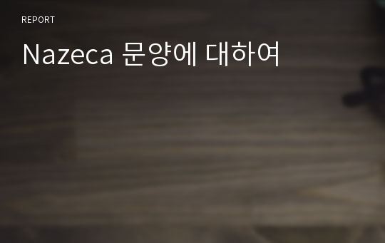 Nazeca 문양에 대하여