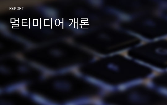 멀티미디어 개론