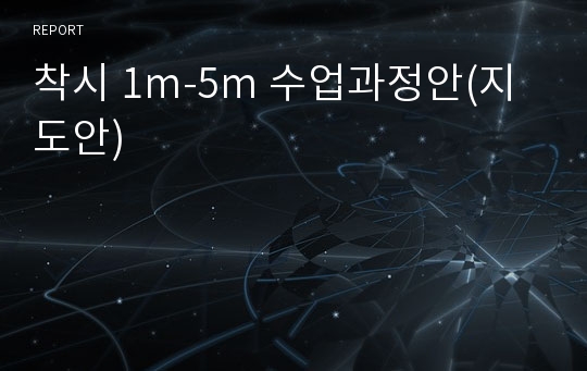 착시 1m-5m 수업과정안(지도안)