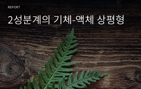 2성분계의 기체-액체 상평형