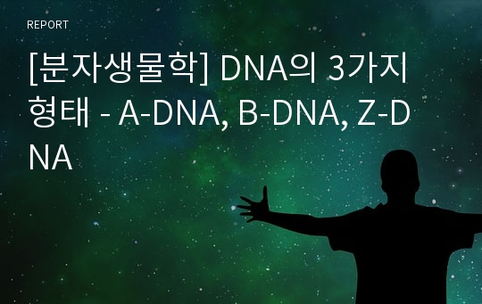 [분자생물학] DNA의 3가지 형태 - A-DNA, B-DNA, Z-DNA