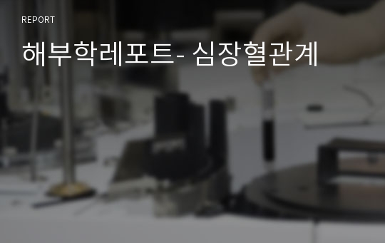 해부학레포트- 심장혈관계