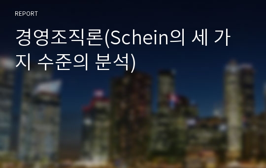 경영조직론(Schein의 세 가지 수준의 분석)